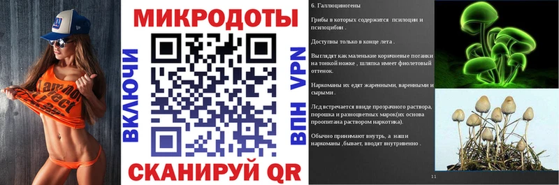 Галлюциногенные грибы Psilocybe  Унеча 